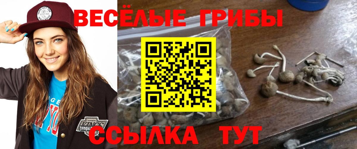 Галлюциногенные грибы Magic Shrooms  Псилоцибиновые грибы Psilocybe  Вход с VPN  Абакан 
